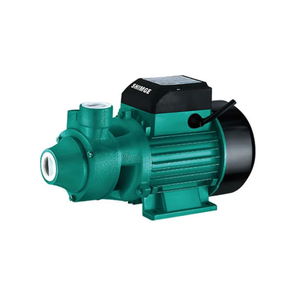 Pompe 370W SHIMGE | QB60