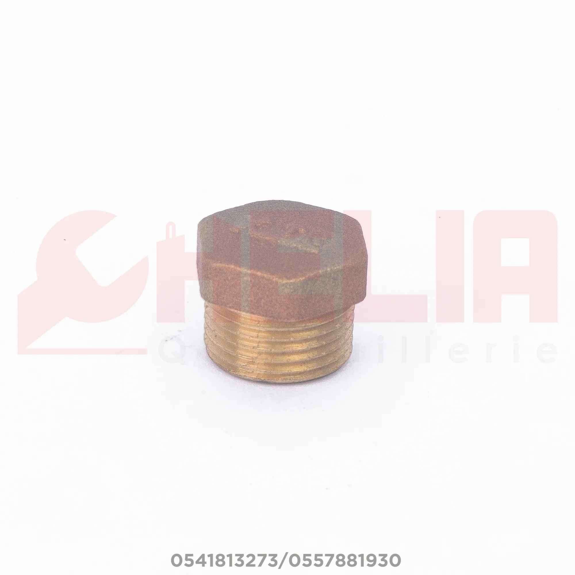 Bouchon bronze 26/34 mal XTR