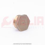 Bouchon bronze 26/34 mal XTR