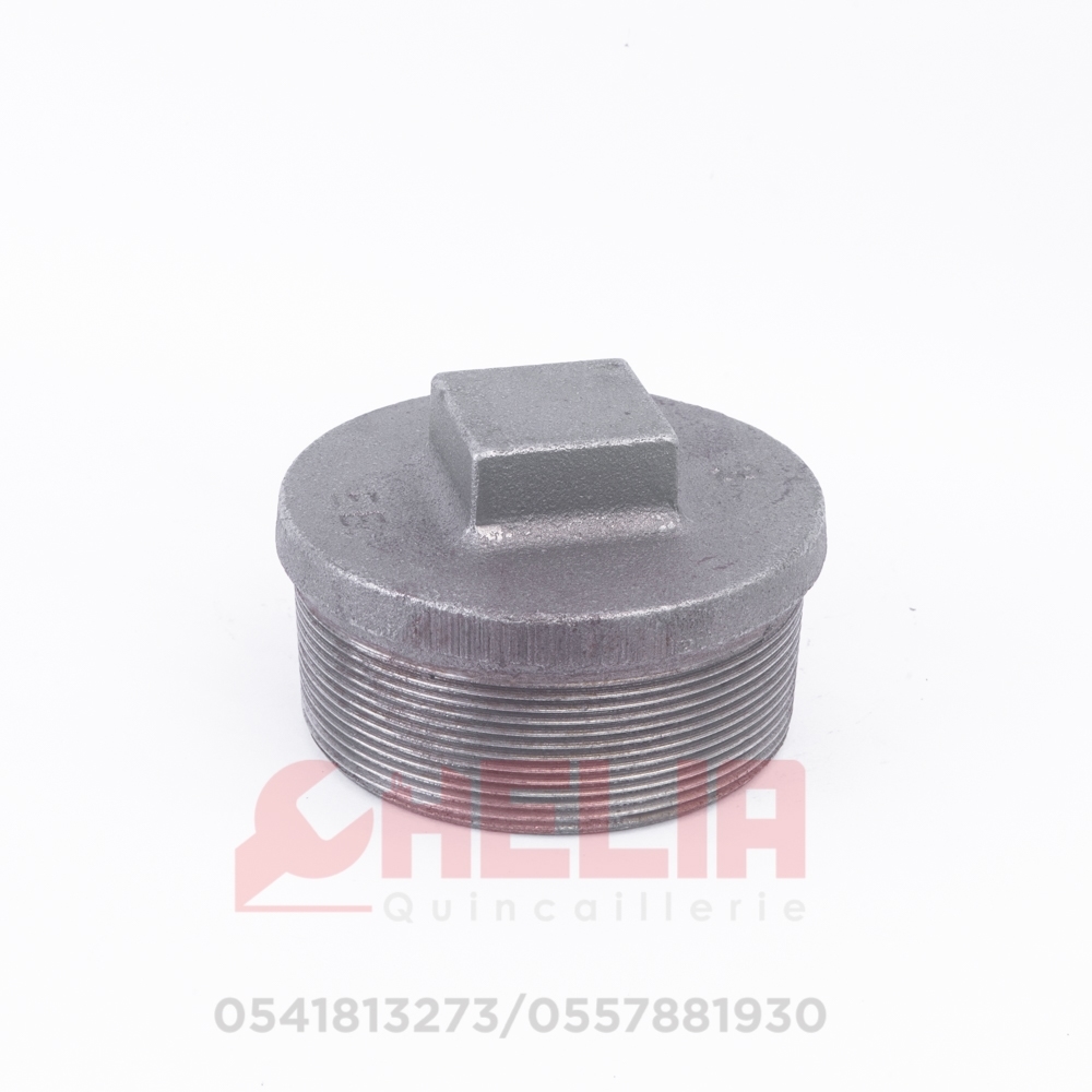 Bouchon 66/76 galvanisé EE Bouchon 66/76 galvanisé EE