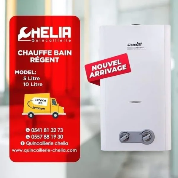 Chauffe bain ideal Regent 6 litres gaz de ville