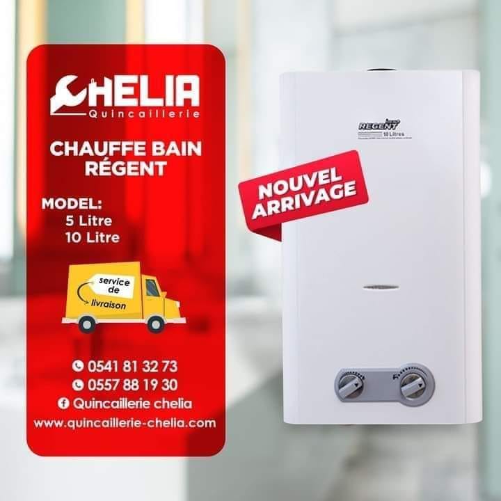 Chauffe bain ideal Regent 6 litres gaz de ville Chauffe bain ideal Regent 6 litres gaz de ville