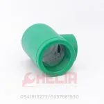Té femelle 63 1 PPRC vert