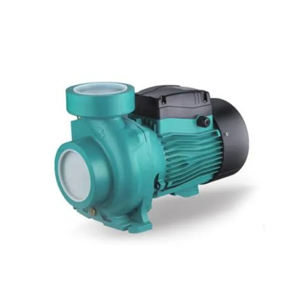 Pompe de surface 50/60 LEO | AC220