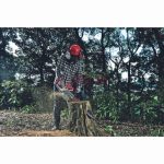 Scie à bois essence 18 1800W CROWN  CT20101-18