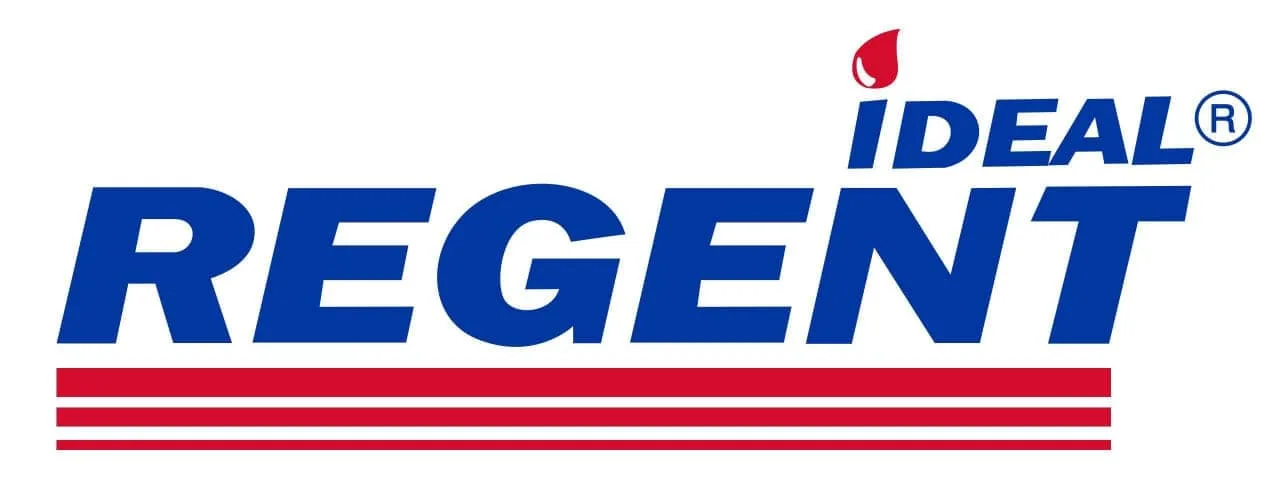 chauffe bain ideal regent algerie