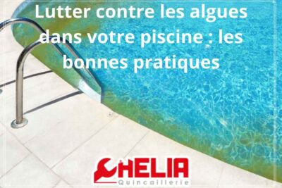 كيفية الوقاية من الطحالب في مسبحك: نصائح فعالة